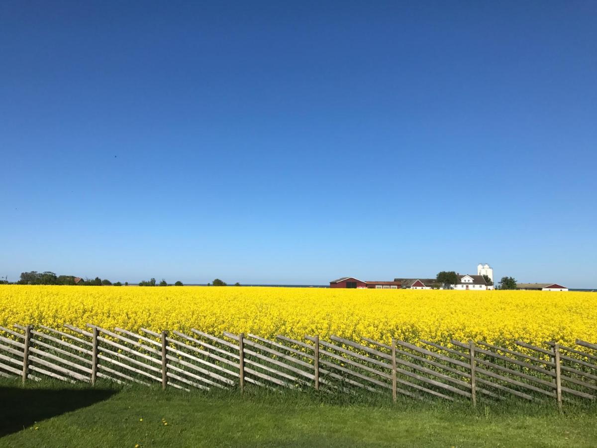 Havsnaera Lantligt * Glommen